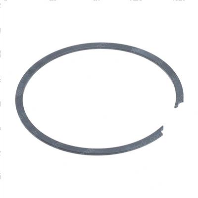 Picture of Ring-Snap