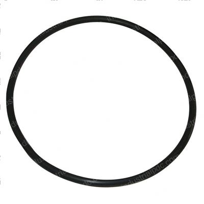 Picture of O-Ring