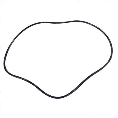 Picture of O-Ring