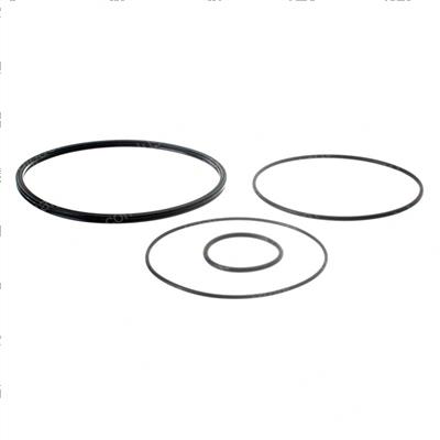 Picture of O-Ring Kit