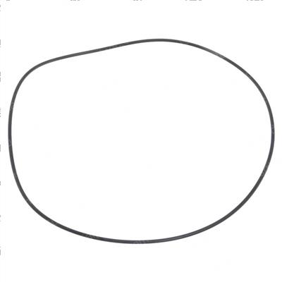 Picture of O-Ring