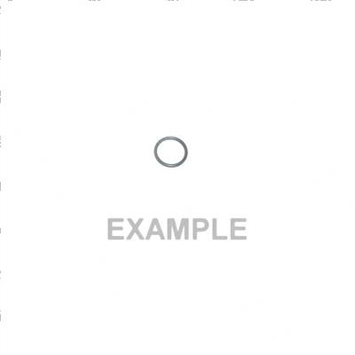 Picture of O-Ring