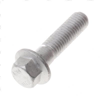 Picture of Capscrew