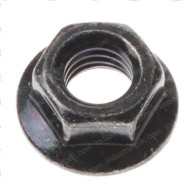 Picture of Nut
