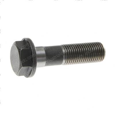 Picture of Bolt