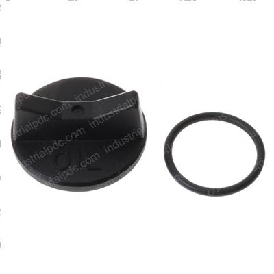 Picture of Oil Plug