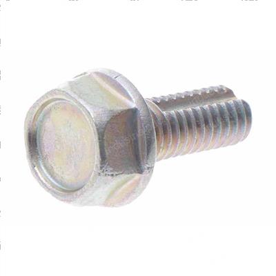 Picture of Bolt