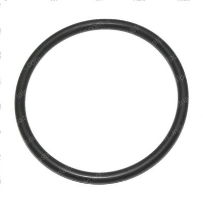 Picture of O-Ring