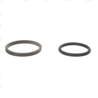 Picture of Seal