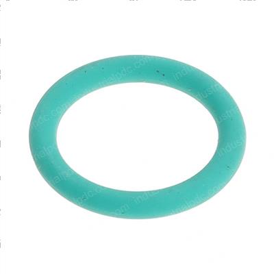 Picture of O-Ring