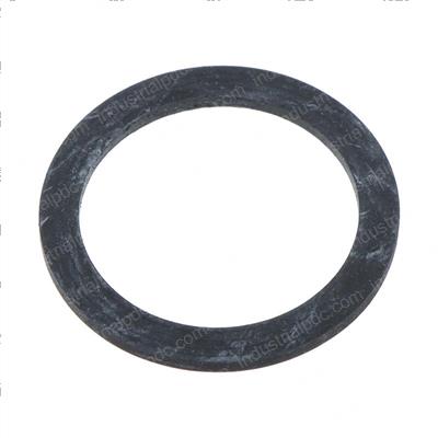 Picture of Seal