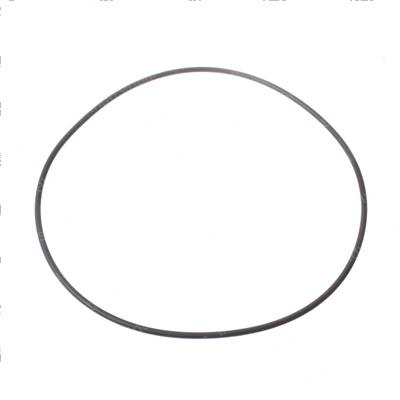 Picture of O-Ring