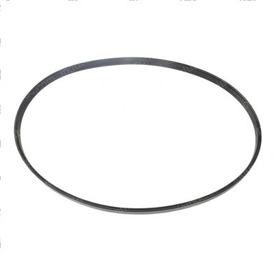 Picture of Belt - Serpentine