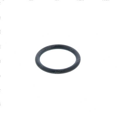 Picture of O-Ring