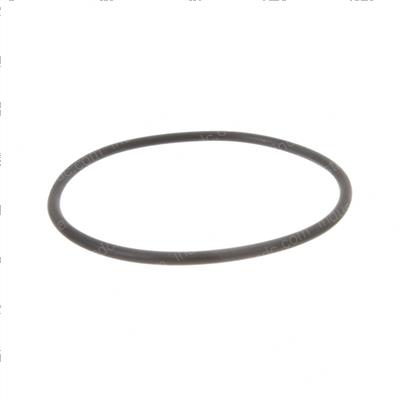 Picture of O-Ring