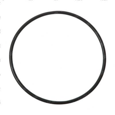 Picture of O-Ring