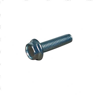 Picture of Flange Screw