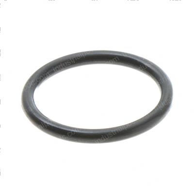 Picture of O-Ring