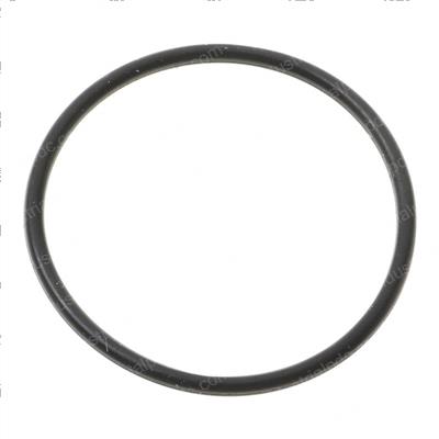 Picture of O-Ring