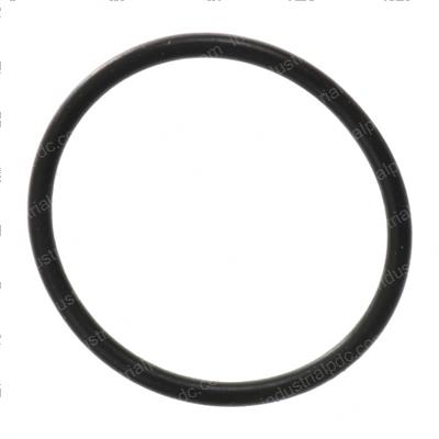 Picture of O-Ring