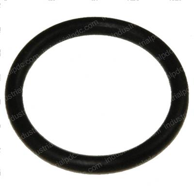 Picture of O-Ring