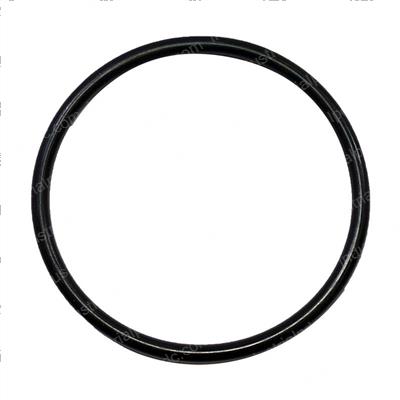 Picture of O-Ring  Interpart