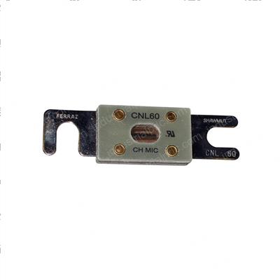 Picture of Fuse 60a