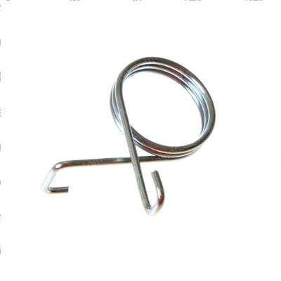 Picture of Spring - Torsion