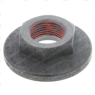 Picture of Nut