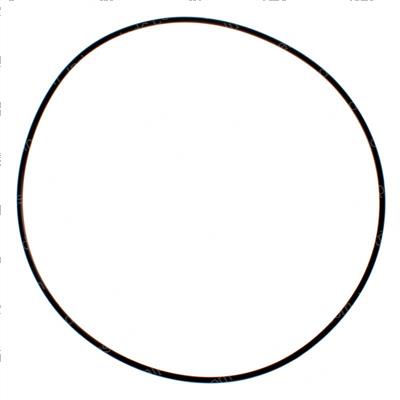Picture of Backup Ring