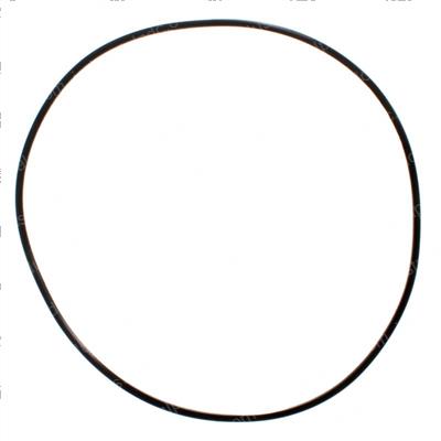 Picture of Backup Ring