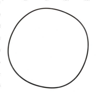 Picture of O-Ring