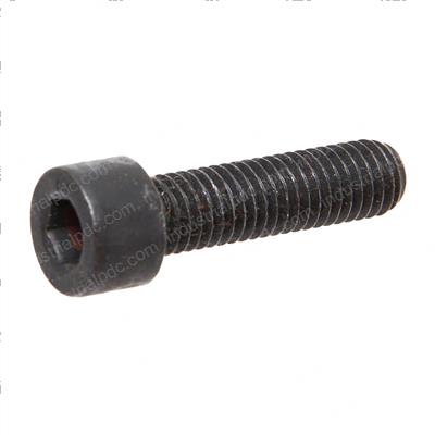 Picture of Bolt