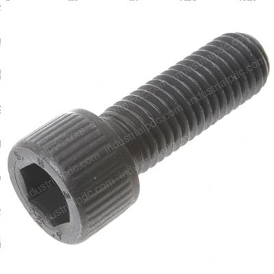 Picture of Bolt