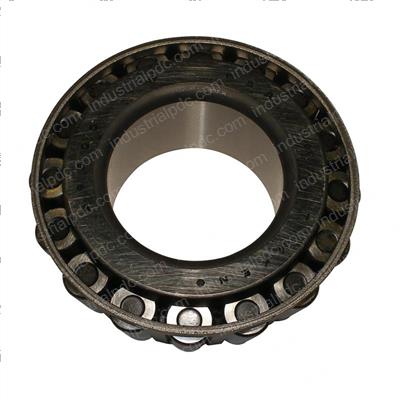 Picture of Cone-Bearing