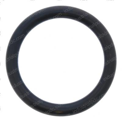 Picture of Seal