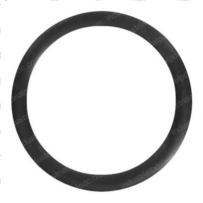 Picture of O-Ring