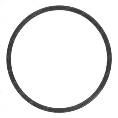 Picture of O-Ring