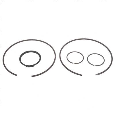 Picture of Ring - Retaining