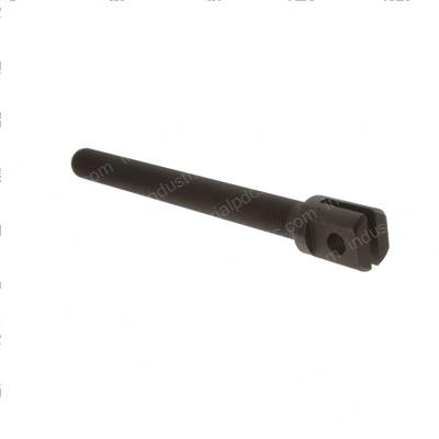 Picture of Bolt - Chain Anchor