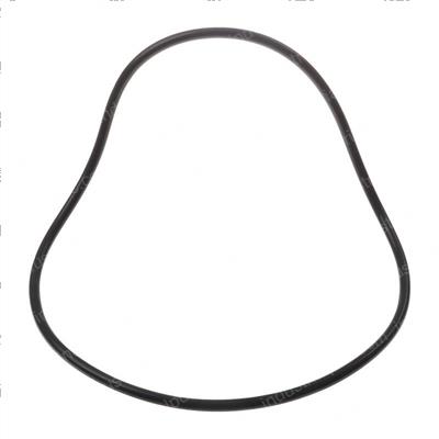 Picture of O-Ring