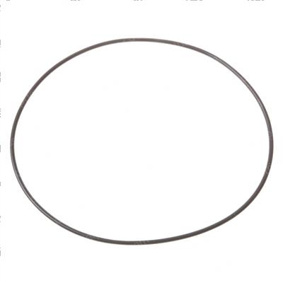 Picture of O-Ring