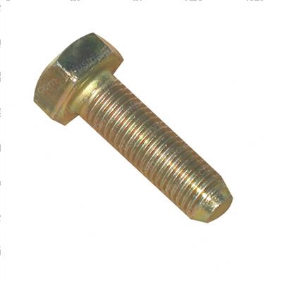 Picture of Bolt