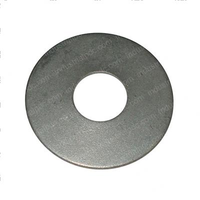 Picture of Washer - Spring