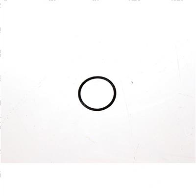 Picture of O-Ring