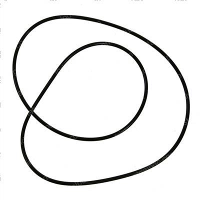 Picture of O-Ring