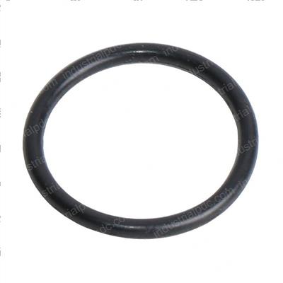 Picture of O-Ring