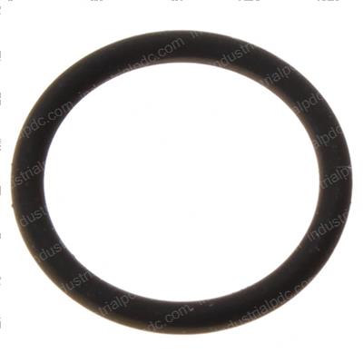 Picture of O-Ring