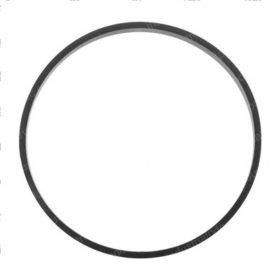 Picture of Seal - General