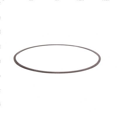 Picture of Ring - Back Up